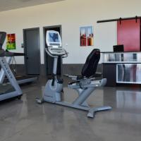 Free Motion 595 Recumbent Bike