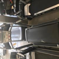 Free Motion 11.3 Treadmill