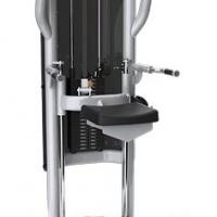 Matrix Aura G3-S60 Dip/Chin Assist