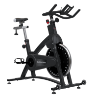 Schwinn 9-7420 IC Classic Bike